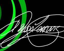 Dawn Jennings Floral Designer